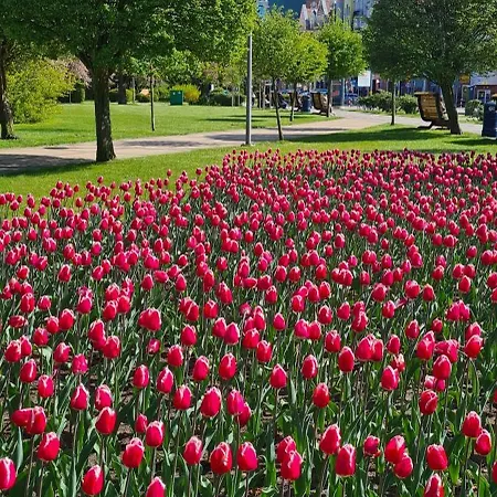 公寓 Boho - Nad Morzem W Kolobrzegu Kasprowicza 20c Parking, Basen, Silownia, Bawialnia W Cenie *