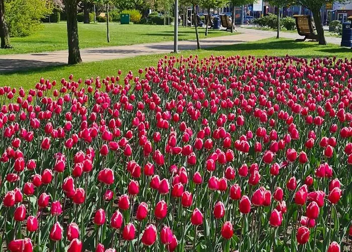 Apartmán Boho - Nad Morzem W Kolobrzegu Kasprowicza 20c Parking, Basen, Silownia, Bawialnia W Cenie *